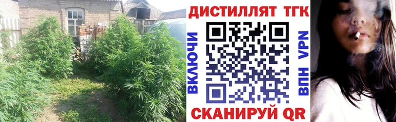 Купить  Магнитогорск  Дистиллят ТГК вейп 